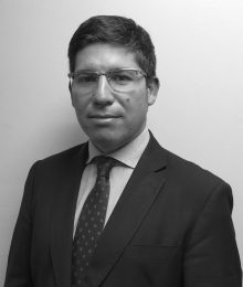 Renzo Munita Marambio