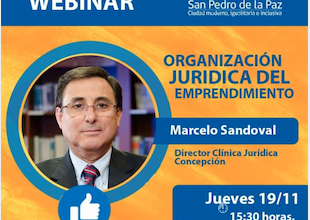 Clínica Jurídica participa en Webinar con emprendedores de San Pedro de la Paz
