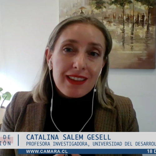 Catalina Salem participó en la Comisión de Constitución de la Cámara sobre reforma al sistema político y electoral