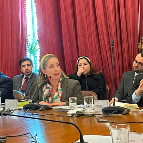 Catalina Salem expone en comisión del Senado sobre proyecto que regula la divulgación de antecedentes de investigaciones penales 