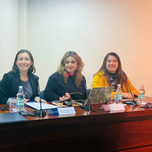 Profesora Ximena Marcazzolo expone en las VIII Jornadas de Mujeres Penalistas