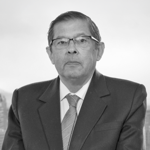 Ramón Domínguez Águila