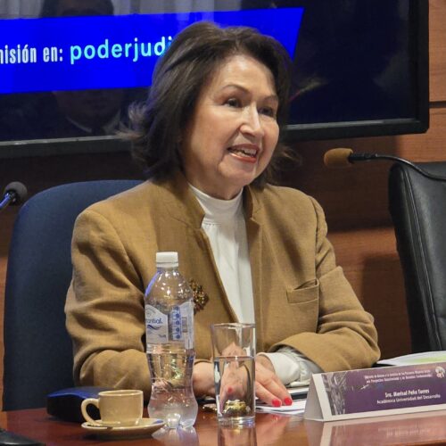 Profesora Marisol Peña abordó el acceso a la justicia de personas mayores desde una perspectiva constitucional y de derechos fundamentales