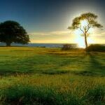 Derecho UDD anuncia el inicio de la 17ª versión del Magíster en Derecho Ambiental para abril de 2026