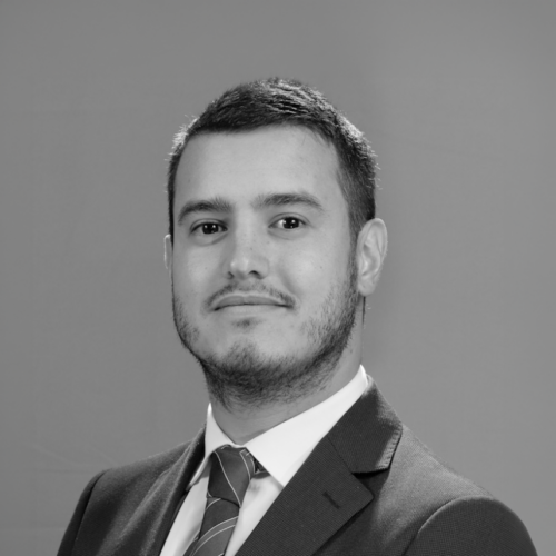 FELIPE DIEZ RINGELE