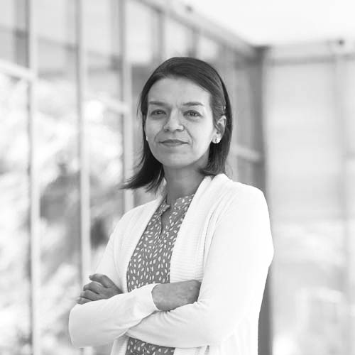 IVETTE ESIS VILLARROEL